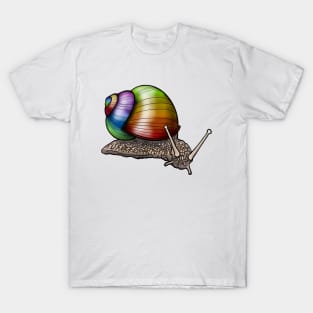 Shell of a Different Color T-Shirt